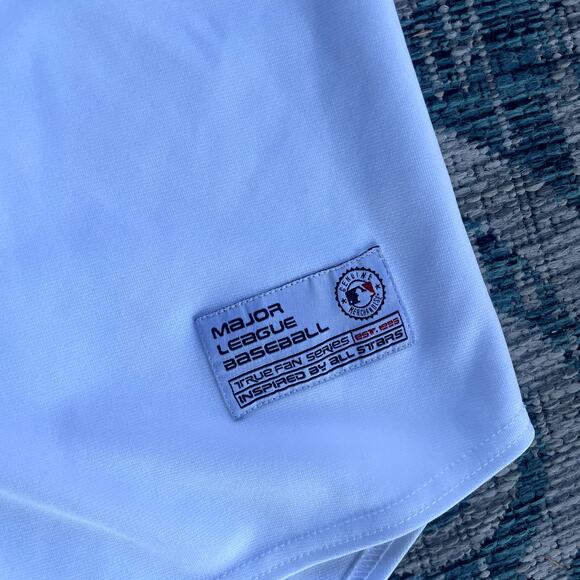 VINTAGE Chicago Cubs MLB True Fan Series Pinstripe Baseball Men's Jersey Size L - Picture 4 of 7